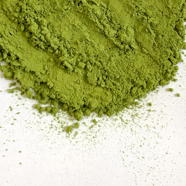 Matcha Premium 125
